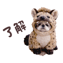 arichan_20260220230848