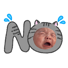 hareruya_20260220231327