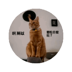 貓會說話