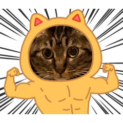 Kaguro-minami cats and a dog