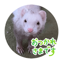 tina_20260220202325
