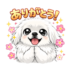 ponta_20260221002913