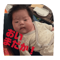 wata_20260221081513