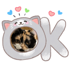 sayuko_20260221003940