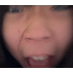 SHINO_20260220212622