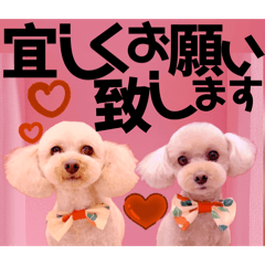 Mochioba_20260221145406