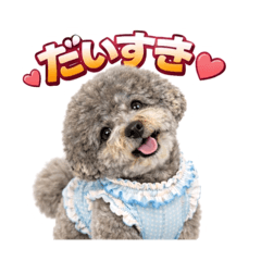 pafoKEN5_20260220232556