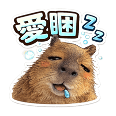 可愛皮皮日常對話