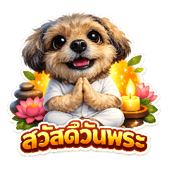 Lookmee Cubby: Daily Greeting