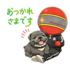 nanaQ_20260218172015