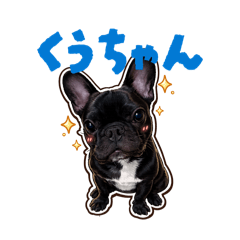 TAKUMU_20260221062507