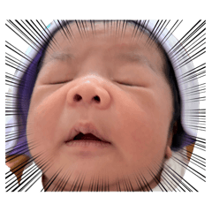 Potter na kub_20260220220437