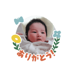 momoko_20260221103418