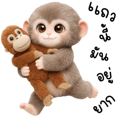 พั้งคุง ลิงน้อยน่ารัก