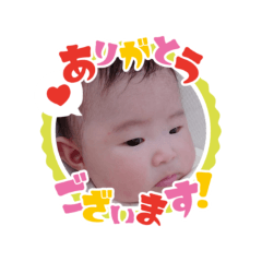 koko_20260221144939