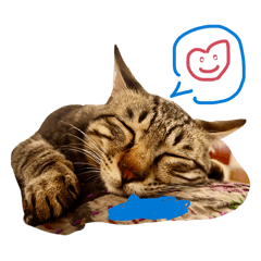 冬冬督導和拔拔麻麻