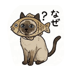 mumuco_20260221131826