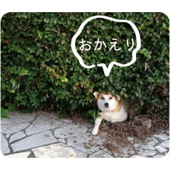 Suzu's fam_20260221