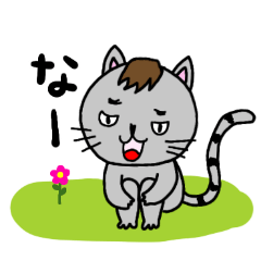 noda_20260221151719