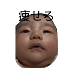 ayachan_20260221154417