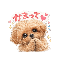 koko_20260221143250