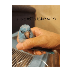 enaaaaa_20260221163426