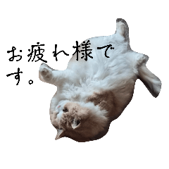 bebekiki_20260221151517