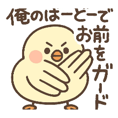 koara_20260221171234