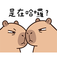 凶巴巴 卡皮巴拉 叭叭 動態貼圖