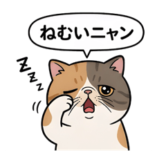 JAPANMAN_20260221160101