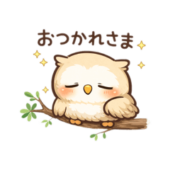 kum_20260221193237