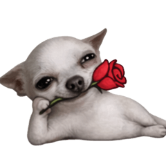 Smirk Grin Doggo