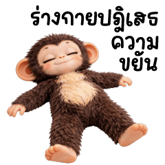 มงกิ ❤️ เจ้าลิงน้อยน่ารัก