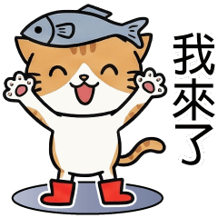 Shedding Cat:(2)daily phrases