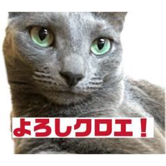 Chloe_20260221175507