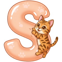 Cute Cat Alphabet A-Z and Symbols