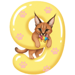 Cat Lowercase a-z & Numbers