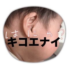 asami_20260221204657