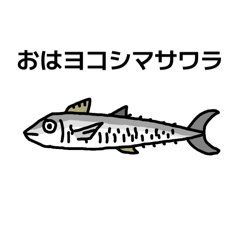 HIKITA HIKIKO_20260221182940