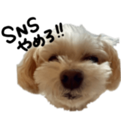 mochichi_20260221185026