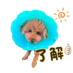 MOZUKU_20260221213140