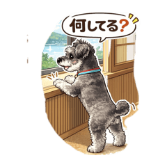 Rider_20260221214038