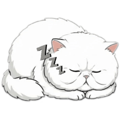 Kwang_20260221155536