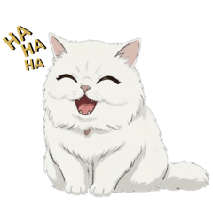 Kwang_20260221160258