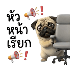 ออฟฟิศสไตล์โฮ่งโฮ่ง 1