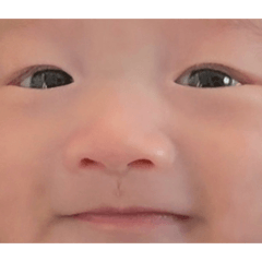 呱3 yo