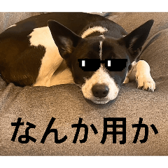 Charlie_20260221222600
