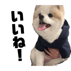 milan_20260222002638