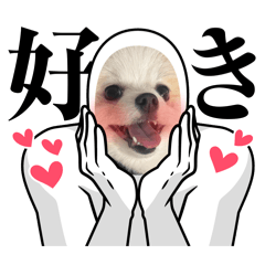 milan_20260222003808