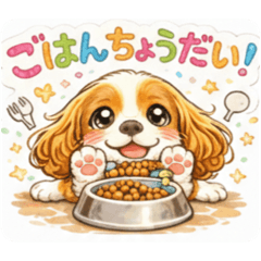 noichigo_20260222004114